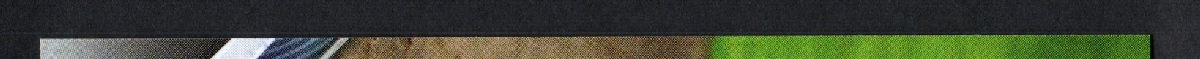 left edge