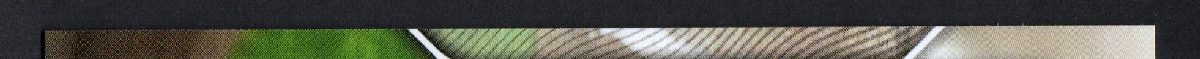 right edge