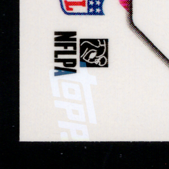 Back · Bottom Left