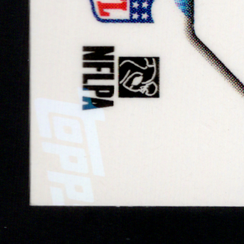 Back · Bottom Left