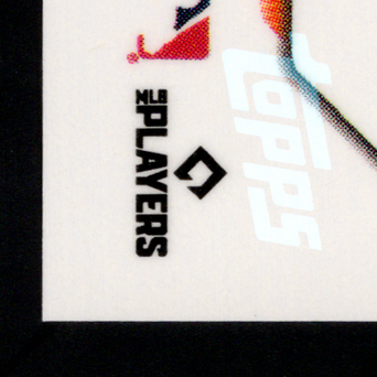 Back · Bottom Left