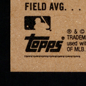Back · Bottom Left