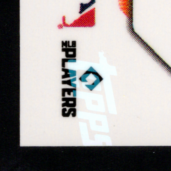 Back · Bottom Left