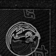 Back · Top Right