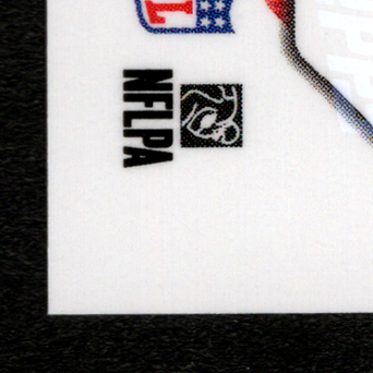 Back · Bottom Left