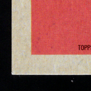 Back · Bottom Left