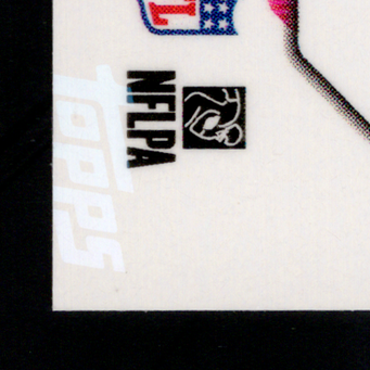 Back · Bottom Left