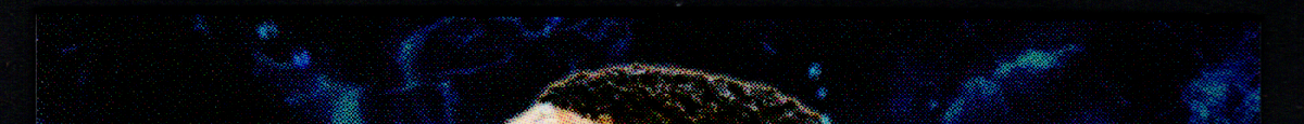 top edge