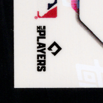 Back · Bottom Left