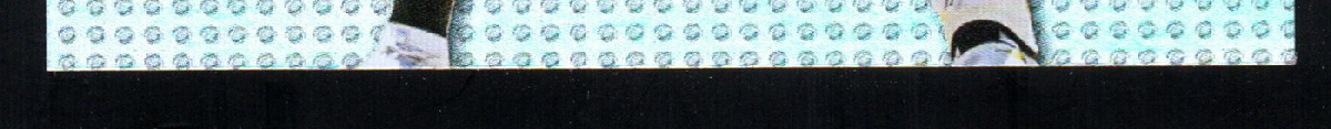 bottom edge