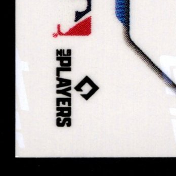 Back · Bottom Left