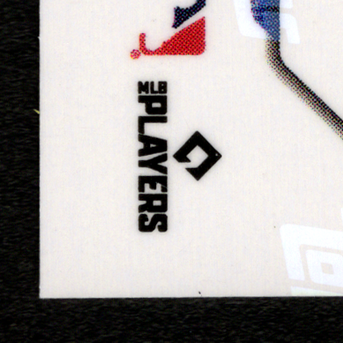 Back · Bottom Left