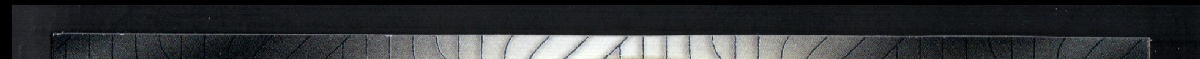 left edge