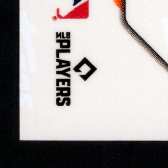 Back · Bottom Left