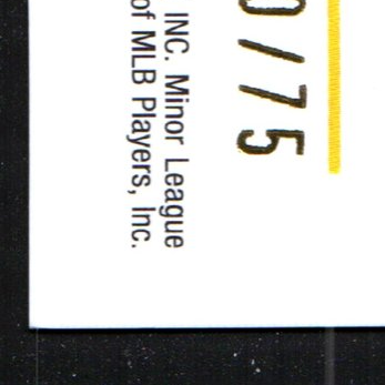 Back · Bottom Left