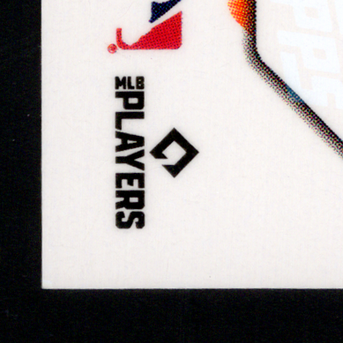 Back · Bottom Left