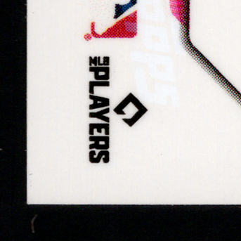 Back · Bottom Left
