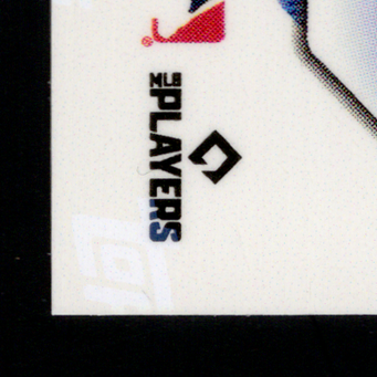 Back · Bottom Left