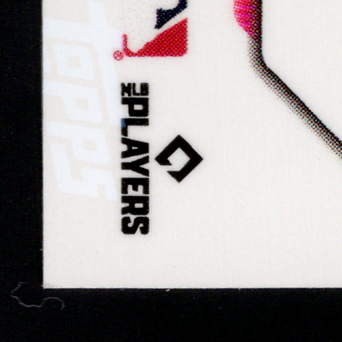 Back · Bottom Left