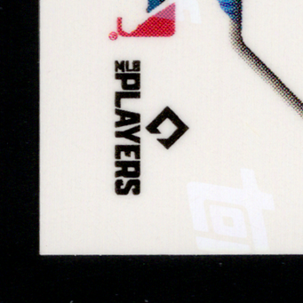 Back · Bottom Left
