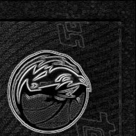Back · Top Right