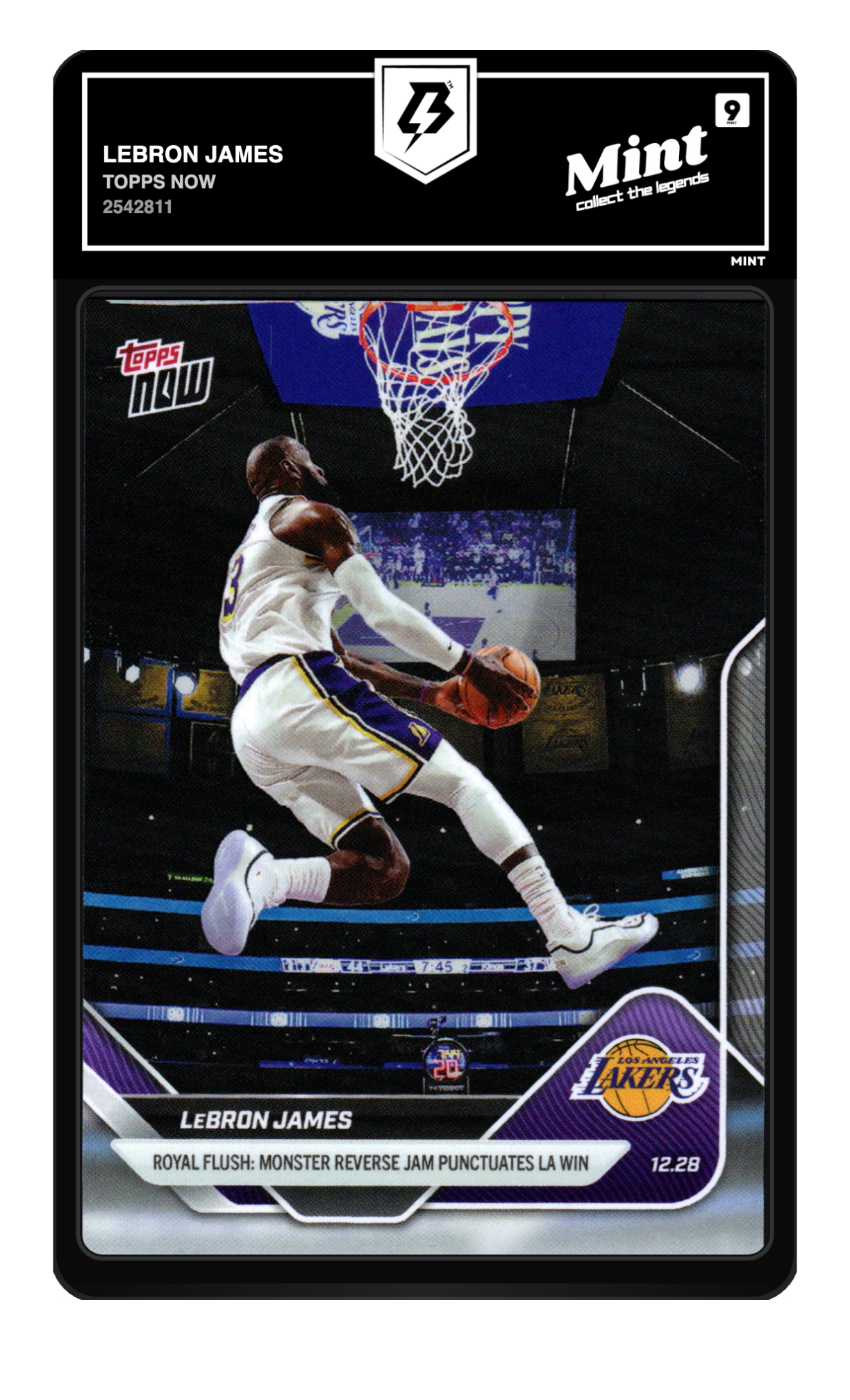 LeBron James graded 9