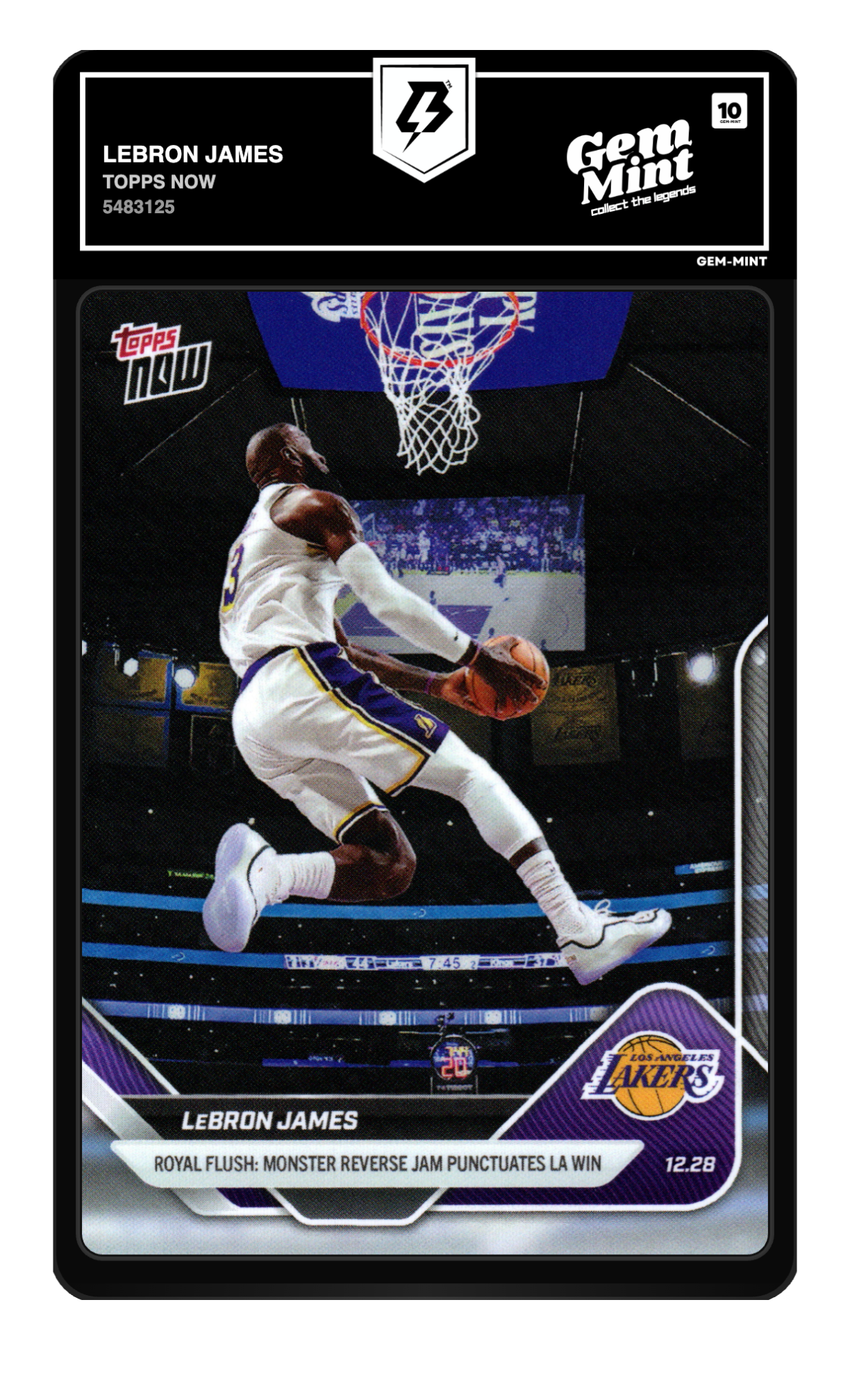 LeBron James graded 10